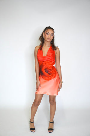 SADIE DRESS